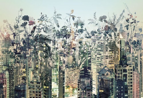 Fototapeta 8-979 Urban Jungle