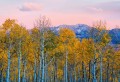 Fototapeta na flizelinie 5066-4V-1 Birches and Mountains