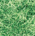 OKLEINA MEBLOWA 11567 GEKKOFIX GRASS