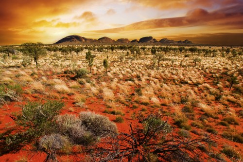 6827b9e2614854cf0fe80c199a952f02
