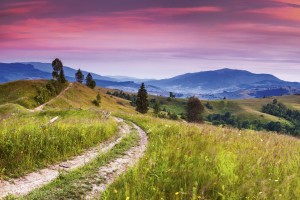 FotoTAPETA na flizelinie MS-5-0061 BLOOMING HILLS