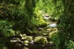 FotoTAPETA na flizelinie MS-5-0079 STREAM