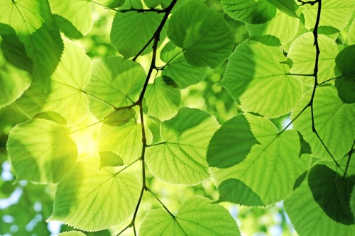 94ecaf44aac29074c5ac61d68160615a