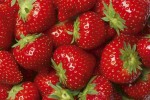 FotoTAPETA na flizelinie MS-5-0241 STRAWBERRY