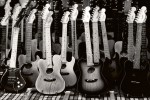 FotoTAPETA na flizelinie MS-5-0303 GUITARS COLLECTION