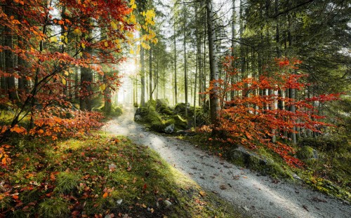 a5e2888aa7778a4dee86472aff97b190