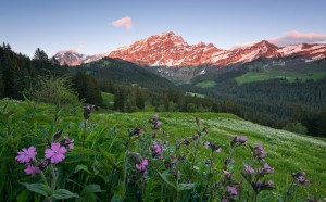 FotoTAPETA na flizelinie SHX9-069 Picturesque Switzerland