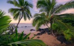 FotoTAPETA na flizelinie SHX9-116 Hawaiian Dreams