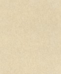 TAPETA 617344 LINARES / WALL TEXTURES V