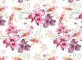 Pink Orchid.jpg