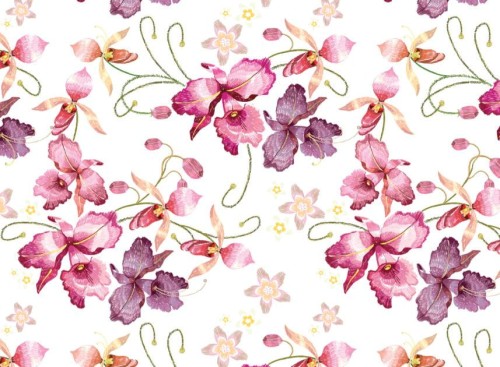 Pink Orchid.jpg