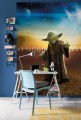 Fototapeta 4-442 STAR WARS MASTER YODA