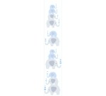 TAPETA 38135-1 LITTLE LOVE