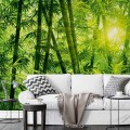 Fototapeta flizelinowa 5403-8 Bamboo Forest