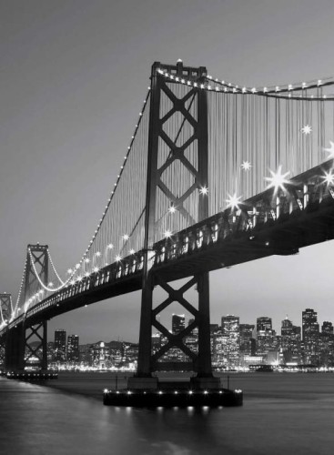 Fototapeta Flizelinowa 5407-4 San Francisco Skyline