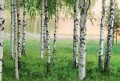 Fototapeta Flizelinowa 5424-4 Nordic Forest