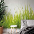 Fototapeta flizelinowa 5447-8 High Grass
