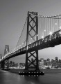 254895