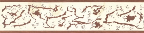 Border Bajpol 759 Pasek samoprzylepny szer. 5 cm