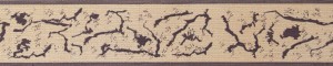 Border Bajpol 806 Pasek samoprzylepny szer. 5 cm