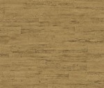 TAPETA 537079 CURIOSITY