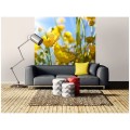 0c3b55308b179cba46cfdcee79ff8559