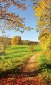 Fototapeta na flizelinie MS-2-0066 MEADOW