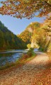 Fototapeta na flizelinie MS-2-0069 DUNAJEC RIVER