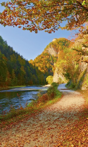 Fototapeta na flizelinie MS-2-0069 DUNAJEC RIVER