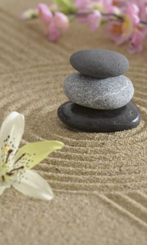 Fototapeta na flizelinie MS-2-0117 ZEN GARDEN