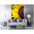 Fototapeta na flizelinie MS-2-0130 SUNFLOWERS