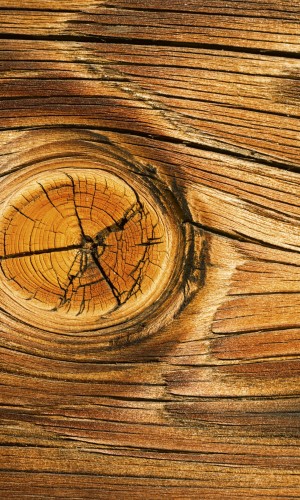 Fototapeta na flizelinie MS-2-0157 WOOD KNOT