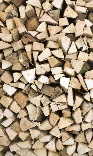 Fototapeta na flizelinie MS-2-0161 TIMBER LOGS