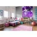 Fototapeta na flizelinie MS-2-0181 AMETHYST