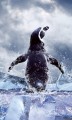 Fototapeta na flizelinie MS-2-0219 PENGUIN