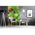 Fototapeta na flizelinie MS-2-0226 LADYBIRD