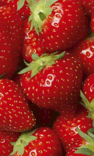 Fototapeta na flizelinie MS-2-0241 STRAWBERRY