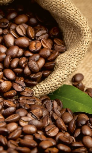 Fototapeta na flizelinie MS-2-0244 COFFEE BEANS