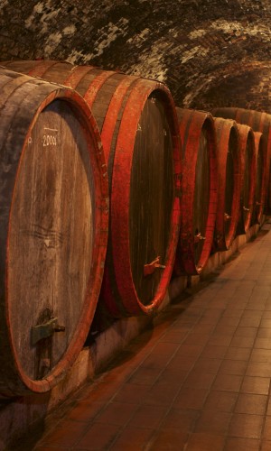 Fototapeta na flizelinie MS-2-0247 WINE BARRELS