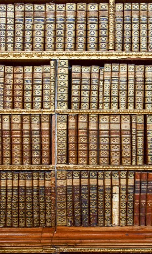 Fototapeta na flizelinie MS-2-0263 LIBRARY