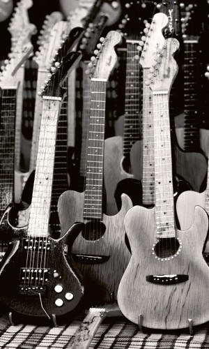 Fototapeta na flizelinie MS-2-0303 GUITARS COLLECTION