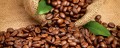 Fototapeta na flizelinie MP-2-0244 COFFEE BEANS