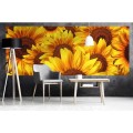 Fototapeta na flizelinie MP-2-0129 HELIANTHUS