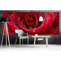 Fototapeta na flizelinie MP-2-0138 RED ROSE