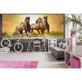Fototapeta na flizelinie MP-2-0227 HORSES IN SUNSET