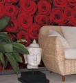 Fototapeta 4-077 Roses   