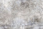 Mural 2537V-11 WHISPER GMK Fashion For Walls 4