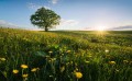234230