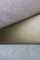 244317