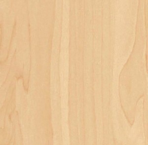 Okleina Meblowa 11171 / 55667 Venilia brzoza jasna naturalna szer 67,5 cm